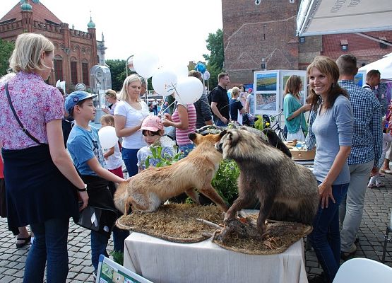 Grafika Jarmark św. Dominika z przyrodą