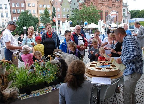 Grafika Jarmark św. Dominika z przyrodą