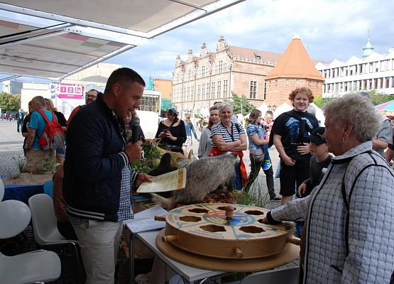 Grafika Jarmark św. Dominika z przyrodą