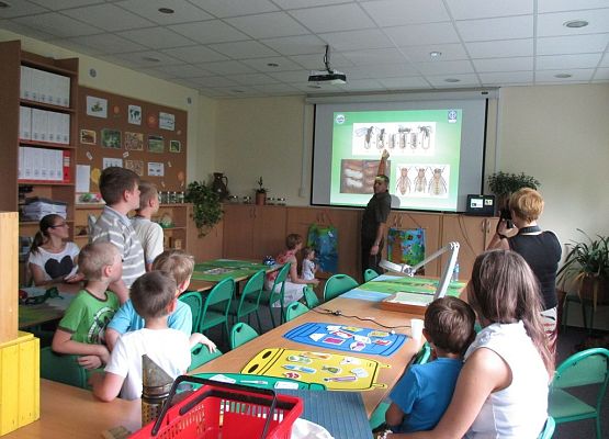 Grafika Wielki Dzień Pszczół w KPK