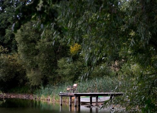 Grafika Kaszubski Park Krajobrazowy  w obiektywie uczestników rajdu pieszego