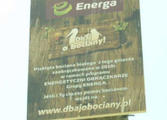 Grafika Inwentaryzacja gniazd bociana białego w Dolinie Słupi
