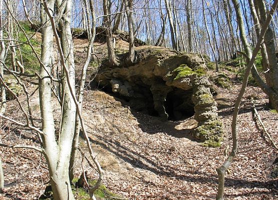 Grafika Przedłużamy termin nadsyłania odpowiedzi na konkurs