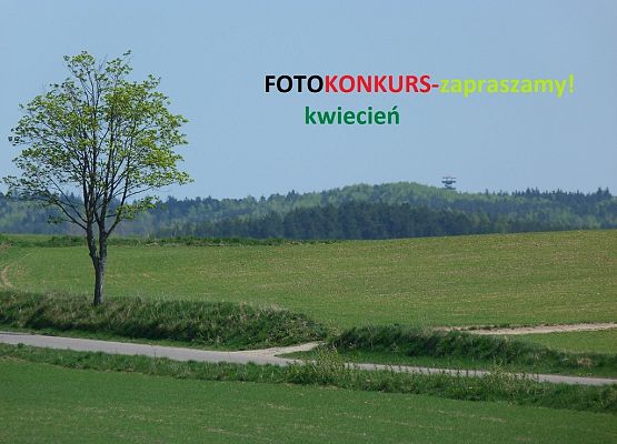 Grafika Fotokonkurs na kwiecień