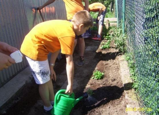 Grafika "Motylowe Łąki" - Wiosenne Warsztaty Terenowe Kaszubskiego Parku Krajobrazowgo