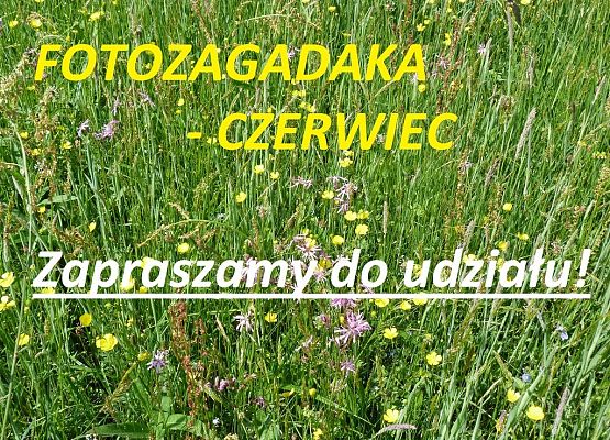 Grafika Fotozagadka na czewiec - zapraszamy do udziału!