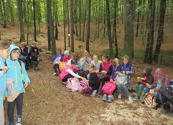 Grafika Wyjazdy przyrodniczo - edukacyjne z KPK