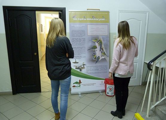 Grafika ABC postępowania z dzikimi zwierzętami - wystawa w siedzibie Kaszubskiego Parku Krajobrazowego