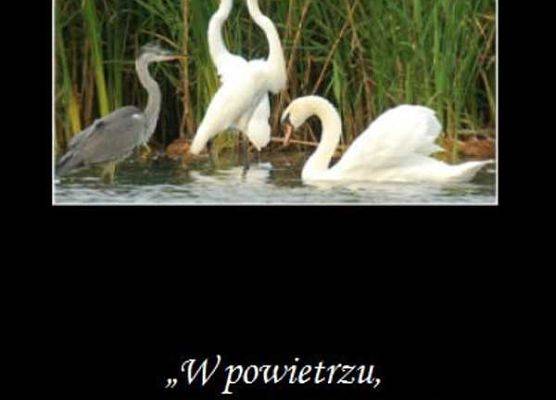 Grafika 1: Album z okazji 25-lecia Parku Krajobrazowego „Mierzeja Wiślana”