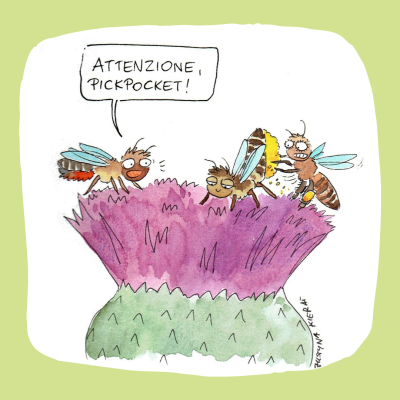 Rysunek komiksowy akwarela+tusz. Na dużym fioletowym kwiecie przypominającym ostrożeń, z prawej siedzi miesierka z zadowoloną miną i podniesionym w górę odwłokiem. Od spodu odwłok jest oblepiony pyłkiem, a ten pyłek z szaleństwem w oczach zbiera