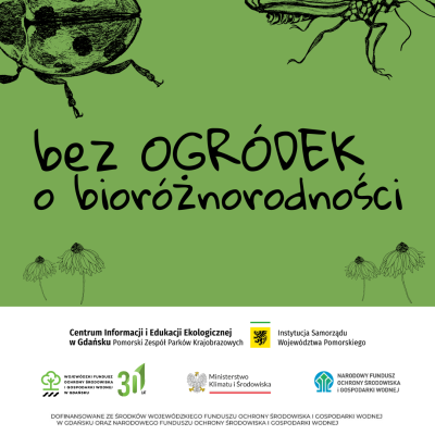 Czarny napis bezOGRÓDEK o bioróżnorodności i szkice kwiatów i dwóch owadów na zielonym tle, na dole logotypy.