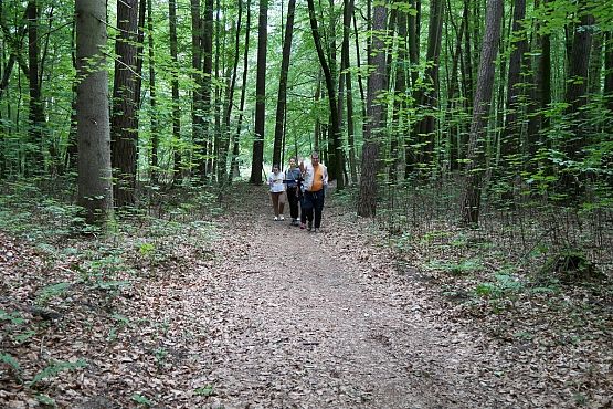 kolejna drużyna na trasie (fot. Zosia Moś) Grafika Z historii Pierwszego Marszobiegu Trójmiejskiego Parku Krajobrazowego "TPK Porusza"