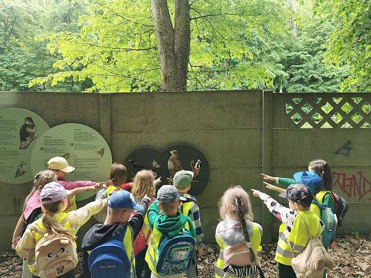 Ptasie oblicze Zajeczej Doliny, fot. JKR Grupa dzieci wskazujących palcami na płąskorzeżby ptaków na tablicy edukacyjnej. W tle las.