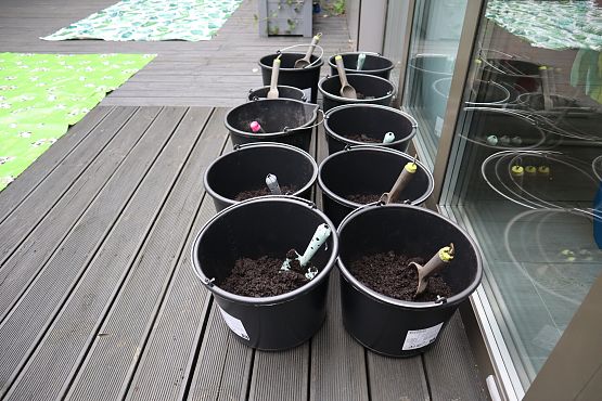 10 wiaderek z ziemią i łopatkami w środku