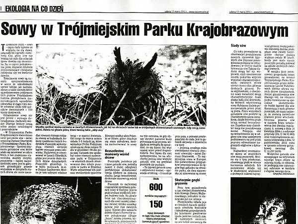 Sowy Tróimiejskiego Parku Krajobrazowego w prasie grafika
