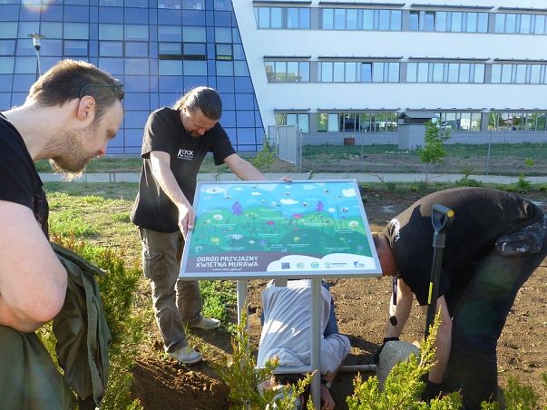Grafika Warsztaty ogrodnictwa miejskiego