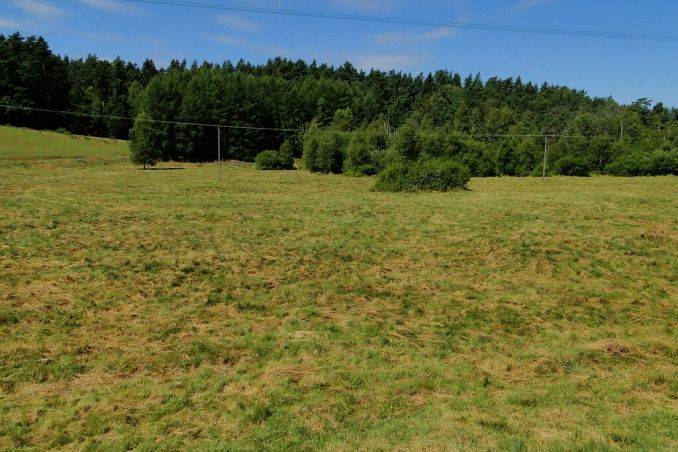 Ochrona czynna siedlisk łąkowych w Trójmiejskim Parku Krajobrazowym grafika
