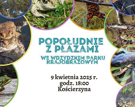 Grafika Zaproszenie na popołudnie z płazami !