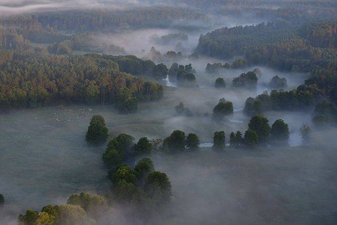 Uwaga konkurs "45 lat PKDS w służbie ochrony przyrody" XXXIII edycja Konkursu Wiedzy o Ochronie Przyrody i Parku Krajobrazowym "Dolina Słupi" Grafika Uwaga konkurs "45 lat PKDS w służbie ochrony przyrody" XXXIII edycja Konkursu Wiedzy o Ochronie Przyrody i Parku Krajobrazowym "Dolina Słupi"