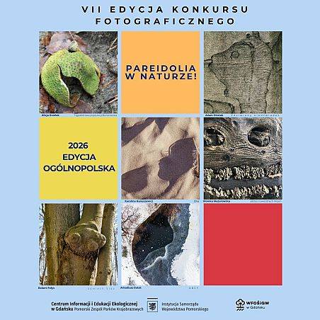 Grafika VII edycja konkursu Pareidolia w naturze