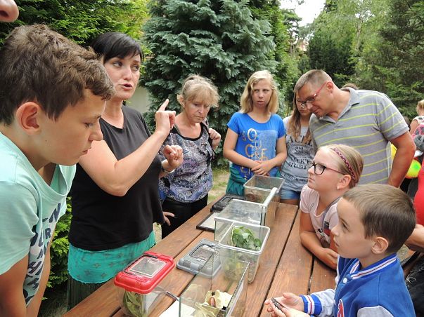 Nadmorski Piknik z Parkiem część I grafika