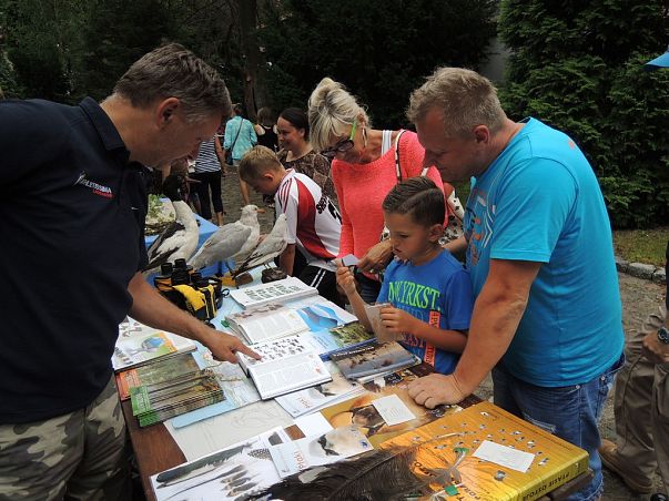 Nadmorski Piknik z Parkiem-część I grafika