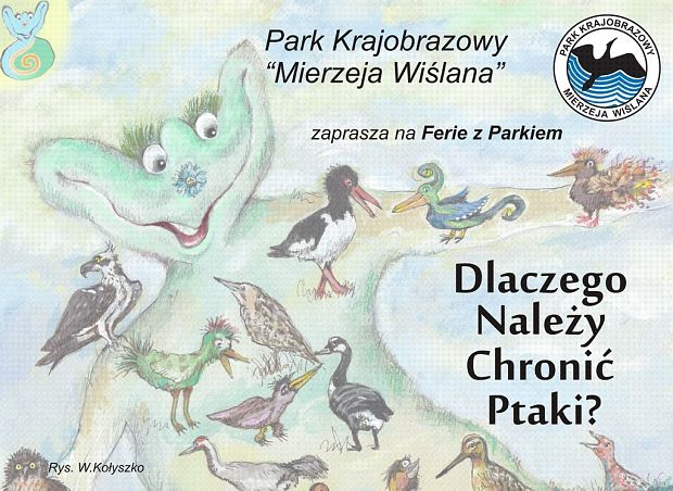 Grafika Zapraszamy na „Ferie z Parkiem” – Dlaczego należy chronić ptaki?