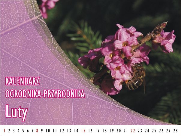 Grafika Kalendarz ogrodnika-przyrodnika - Luty