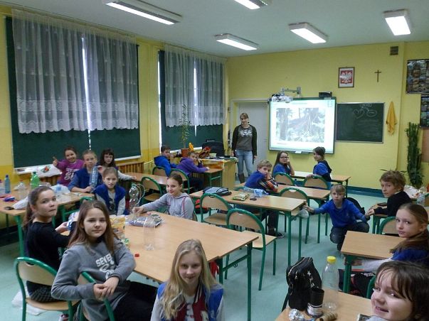 Grafika Jak prawidłowo dokarmiać ptaki?