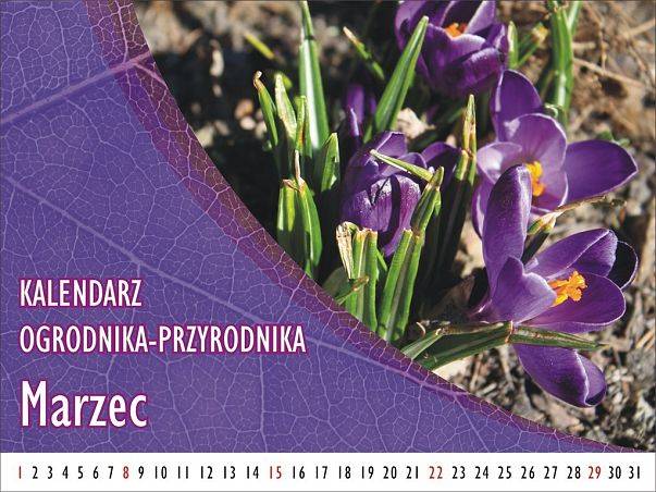 Grafika Kalendarz ogrodnika-przyrodnika - Marzec