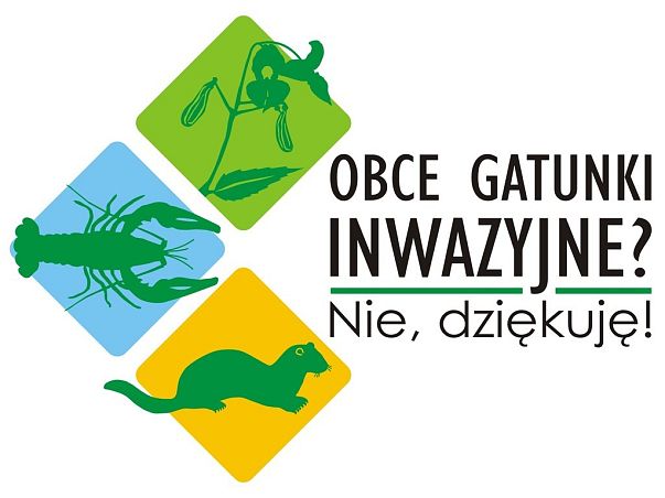 Grafika Zapraszamy do udziału w akcji edukacyjnej pt.: "Obce gatunki inwazyjne? Nie, dziękuję!"