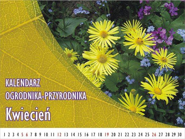 Grafika Kalendarz ogrodnika-przyrodnika - Kwiecień
