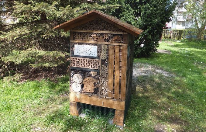 Grafika Przy siedzibie NPK stanął hotel dla owadów