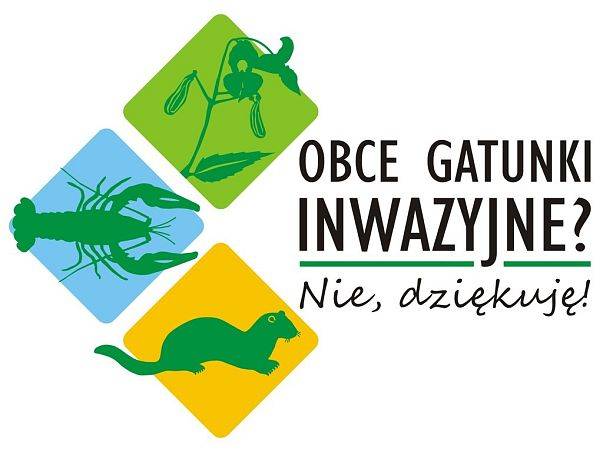 Obce gatunki inwazyjne? Nie, dziękuję! – akcja edukacyjna w szkołach grafika