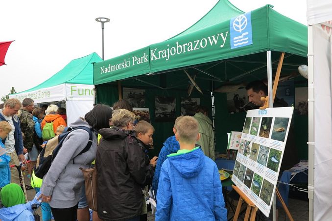 Grafika „Dzień Ryby” w Helu