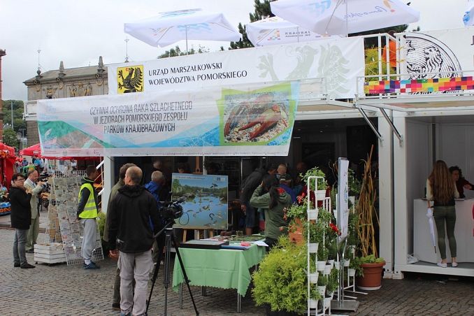Grafika DZIEŃ RAKA SZLACHETNEGO na Jarmarku Św. Dominika w Gdańsku