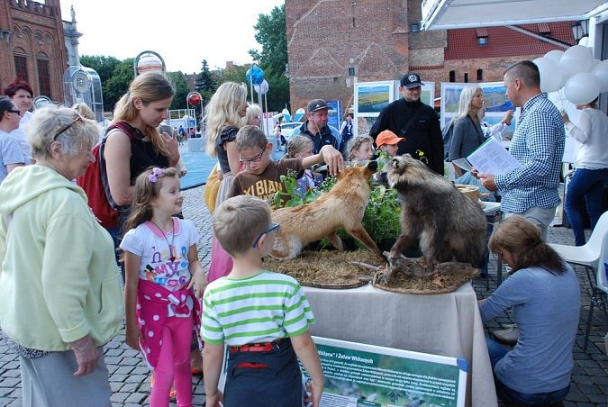 Grafika Jarmark św. Dominika z przyrodą