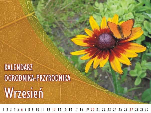 Grafika Kalendarz ogrodnika-przyrodnika - Wrzesień