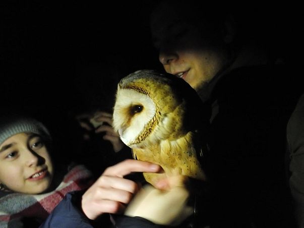 Grafika Noc Sów 2016 na Akcji Bałtyckiej