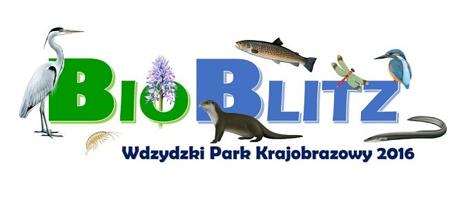 Grafika ZAPRASZENIE NA PRZYRODNICZY PIKNIK DO WDZYDZKIEGO PARKU KRAJOBRAZOWEGO