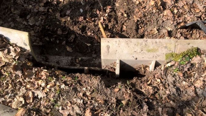 Grafika W trosce o los płazów i innych małych zwierząt.