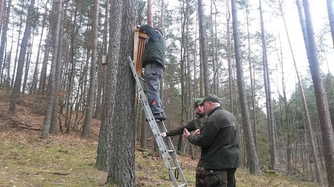 Grafika Specjalne ukrycia dla mopka