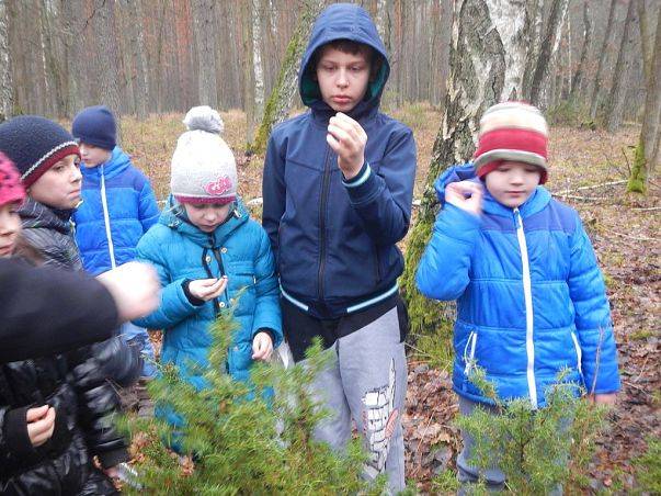 Grafika Ferie w „Dolinie Słupi”