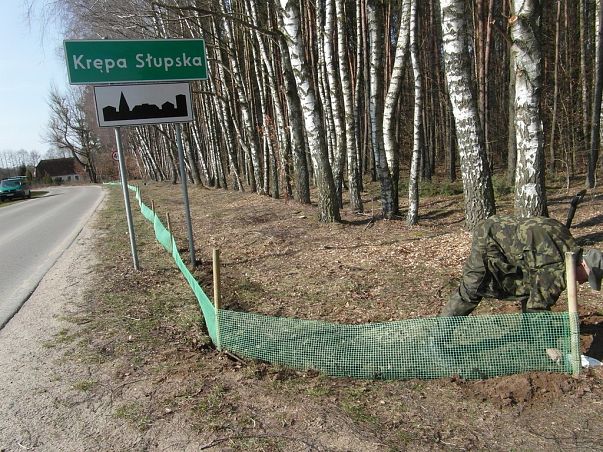 Grafika Na ratunek płazom!