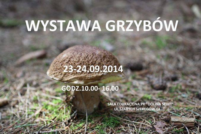 Zapraszamy na wystawę grzybów. grafika