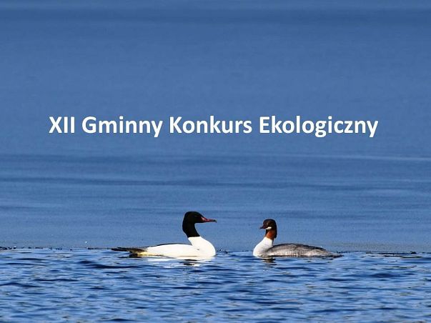 Grafika XII Gminny Konkurs Ekologiczny