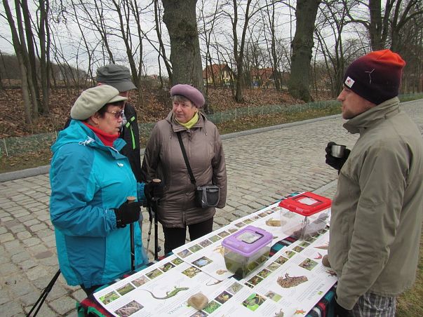 Grafika Warsztaty wiosenne płazie wędrówki