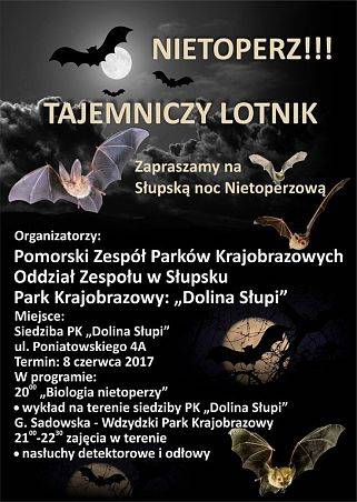 Grafika Zapraszamy na IV Słupską Noc Nietoperzową