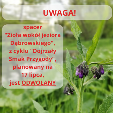 UWAGA - odwołana wyprawa Zioła wokół jeziora Dąbrowskiego, z cyklu Dojrzały Smak Przygody grafika