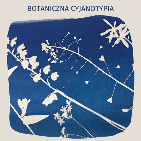Grafika Botaniczna cyjanotypia - warsztat dla dorosłych i rodzin z dziećmi